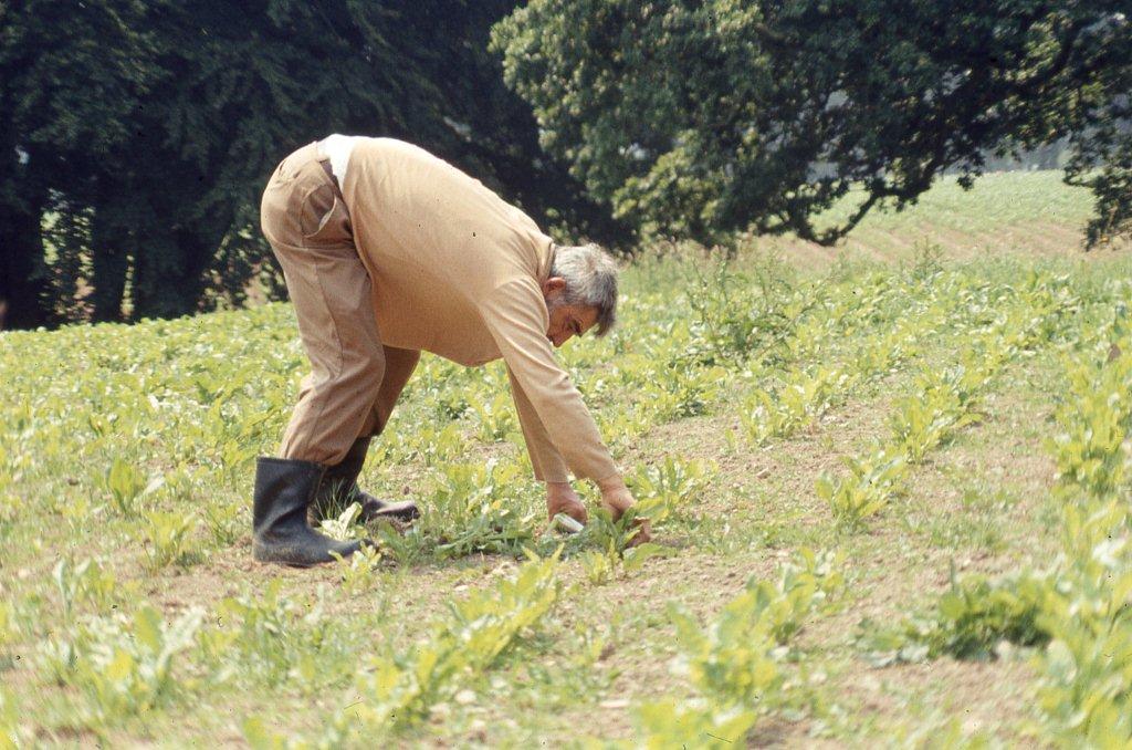 1971 Mr DARTHENAY au jardin